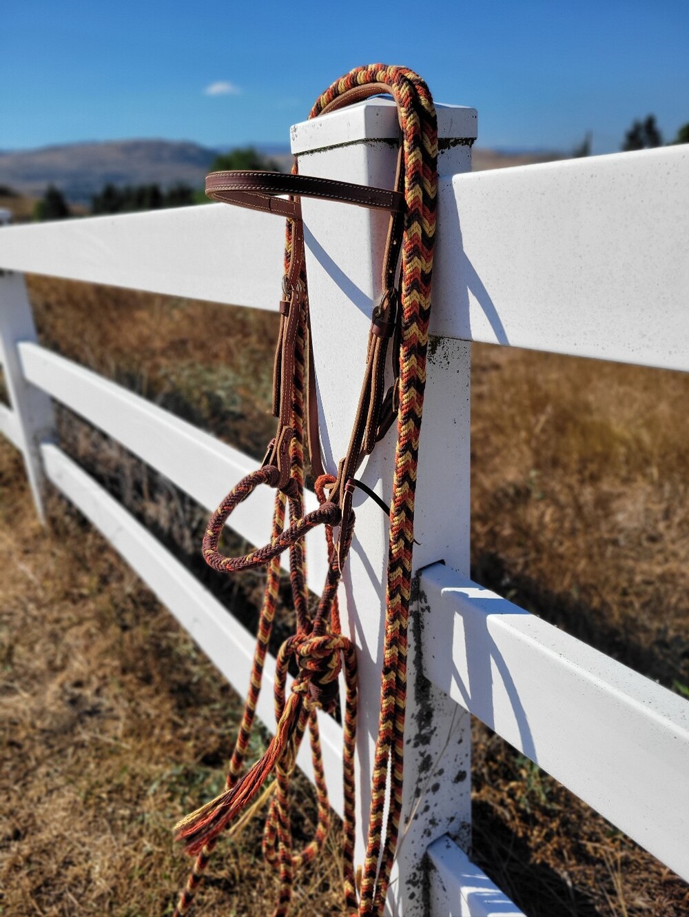 Loping Hackamore - Picture 3 of 8